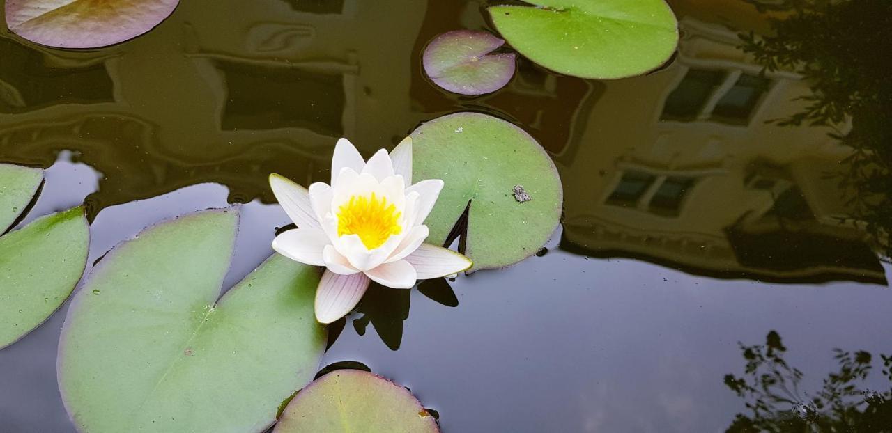 Lilia Apartments Каваци, Созопол エクステリア 写真